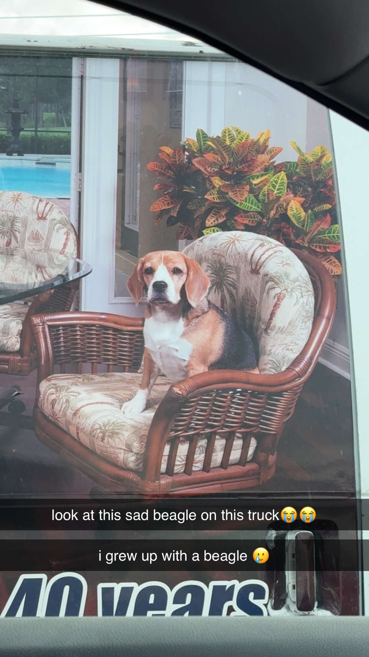 xcatlyn snapchat image archive image