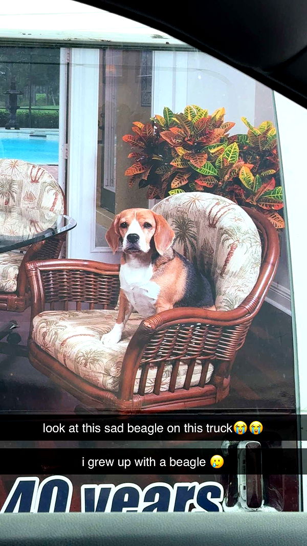 xcatlyn image ~ Altpins