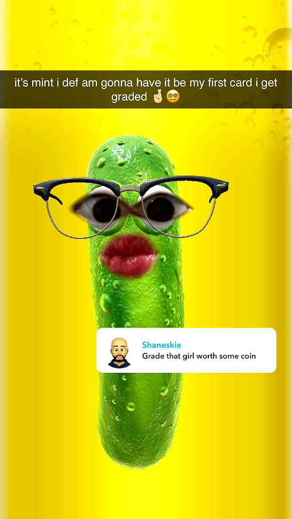 xcatlyn image ~ Altpins