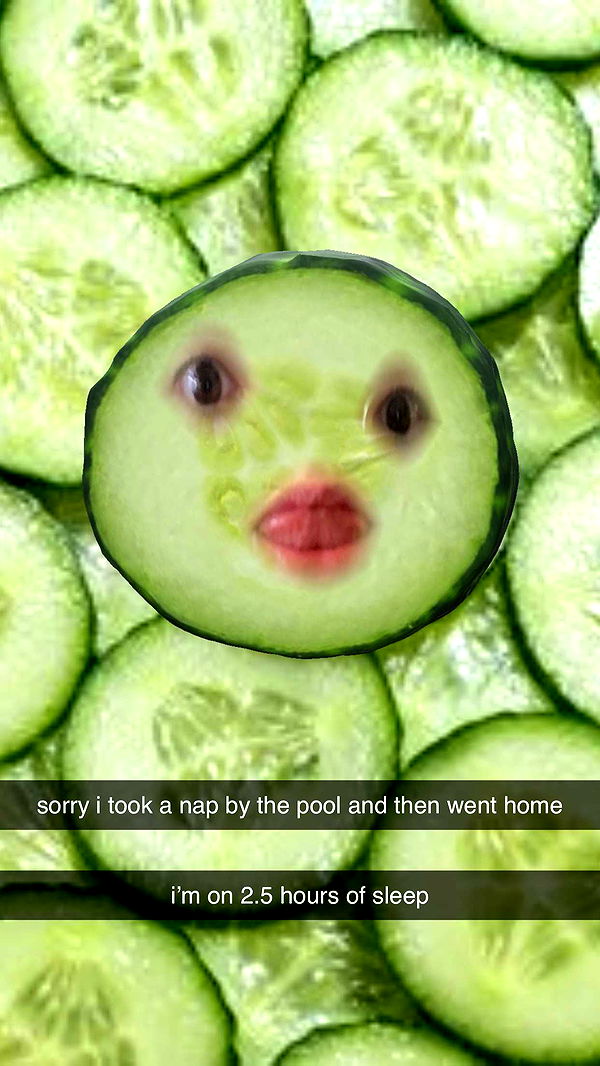 xcatlyn image ~ Altpins