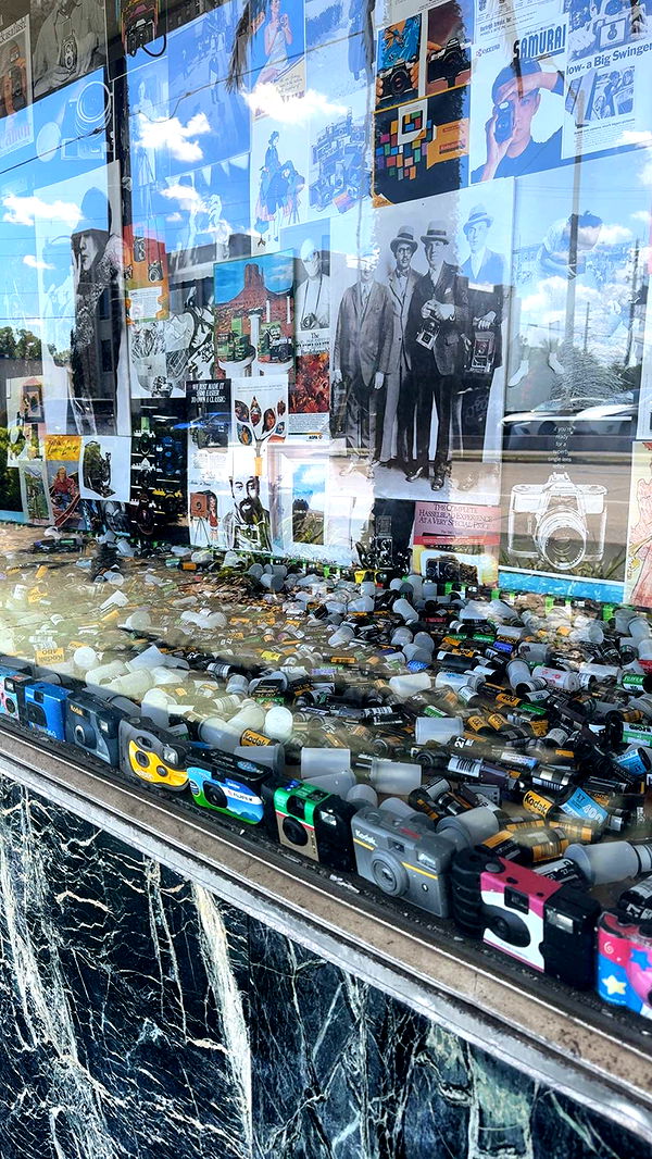 xcatlyn image ~ Altpins