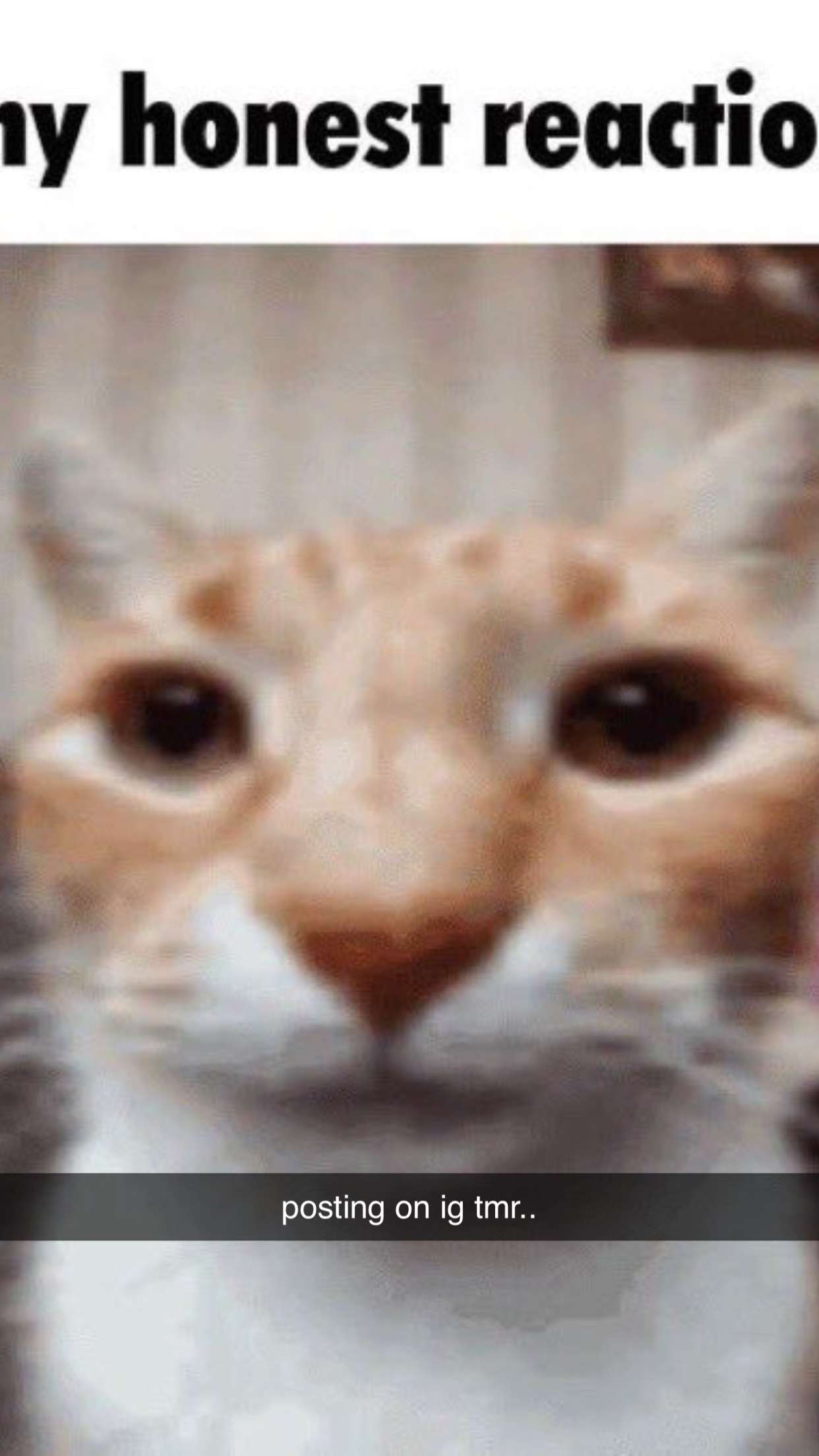 xcatlyn snapchat image archive image