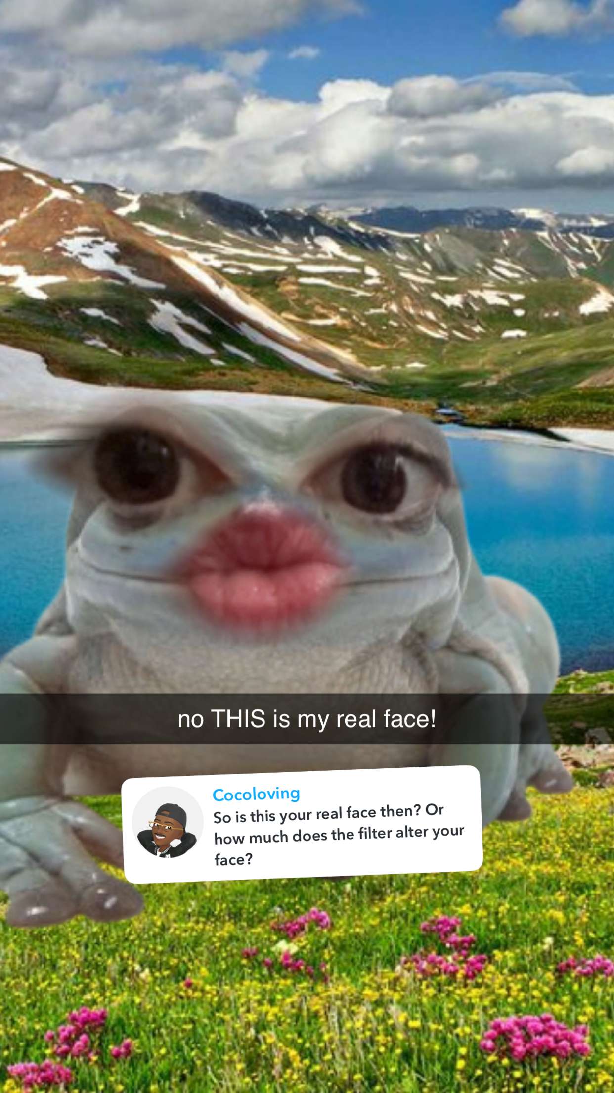 xcatlyn snapchat image archive image