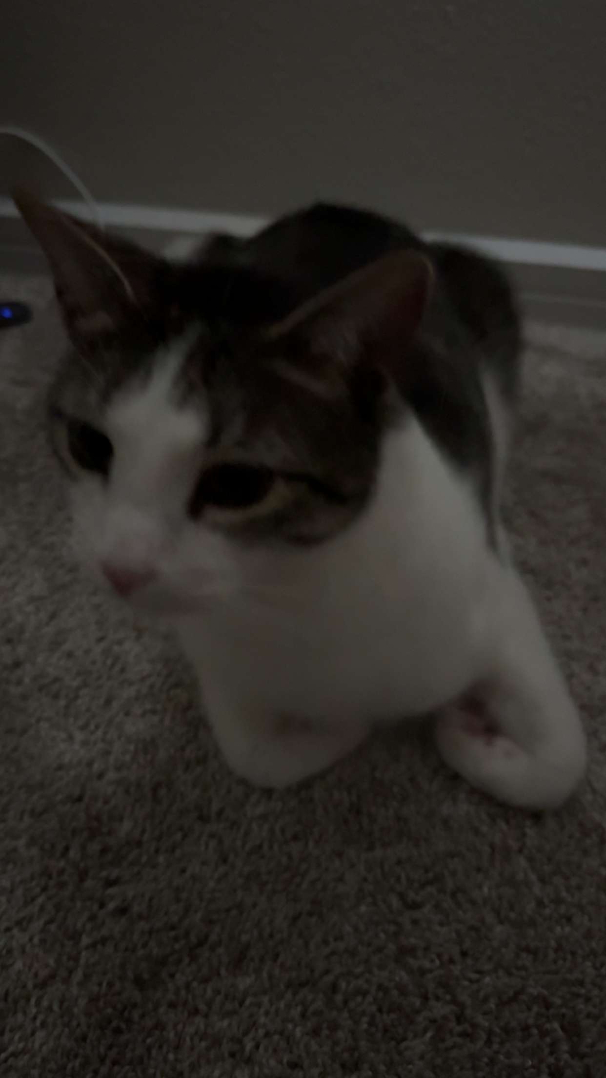 xcatlyn snapchat image archive image