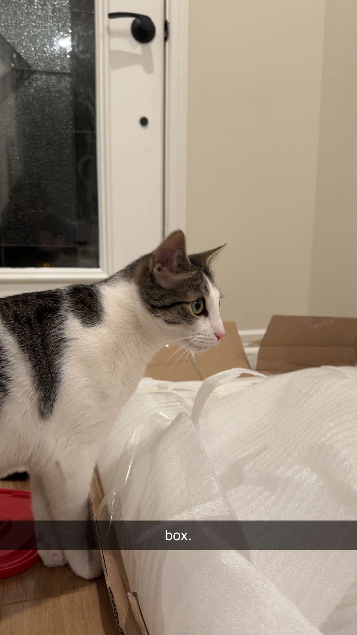 xcatlyn snapchat image archive image