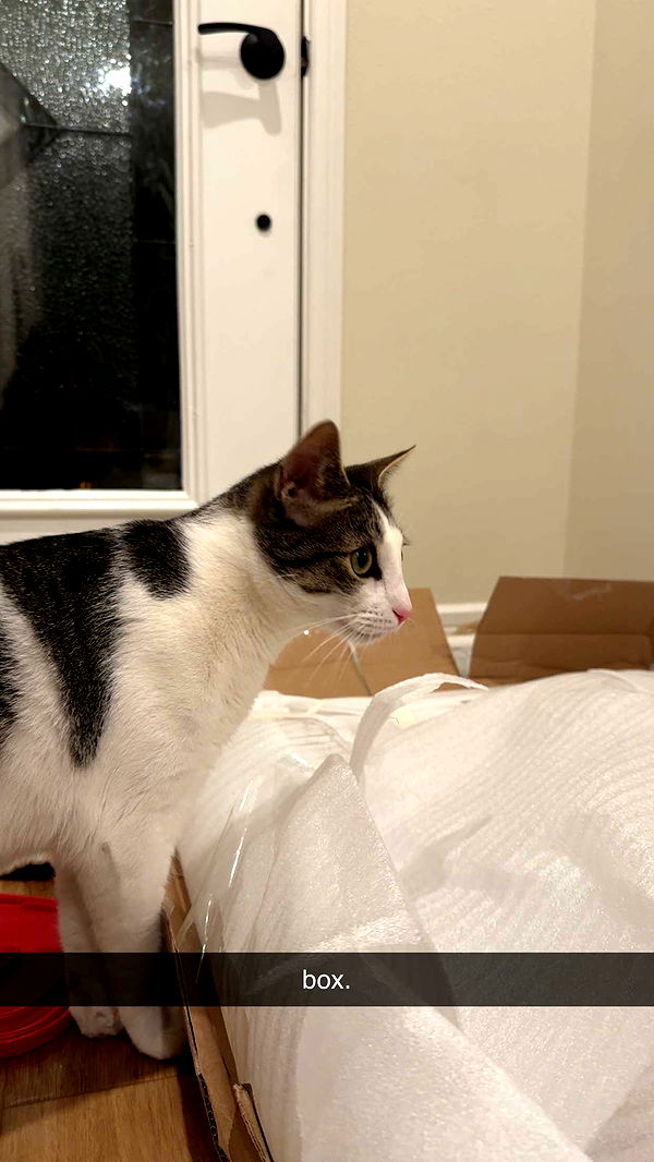 xcatlyn image ~ Altpins