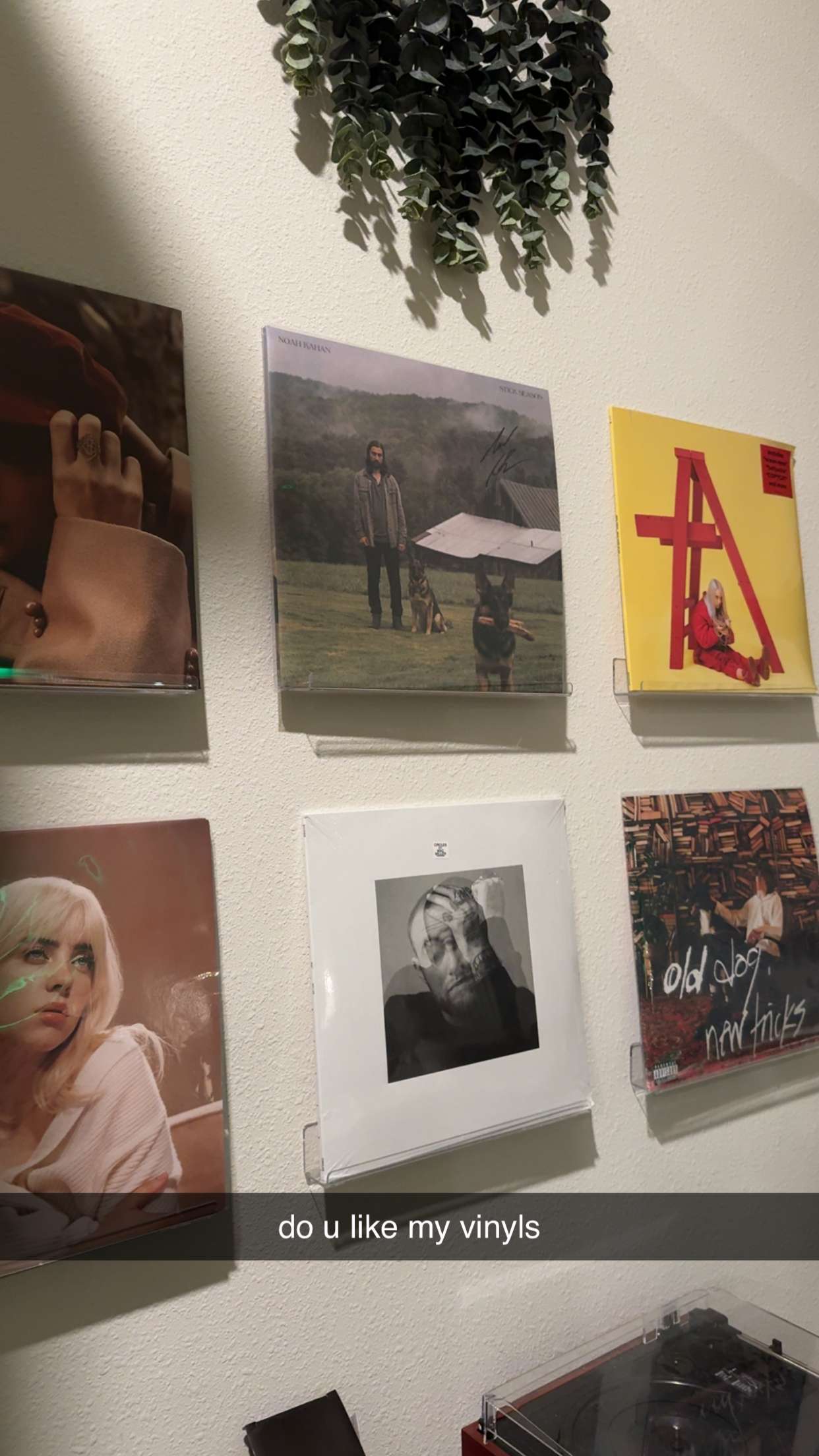 xcatlyn snapchat image archive image