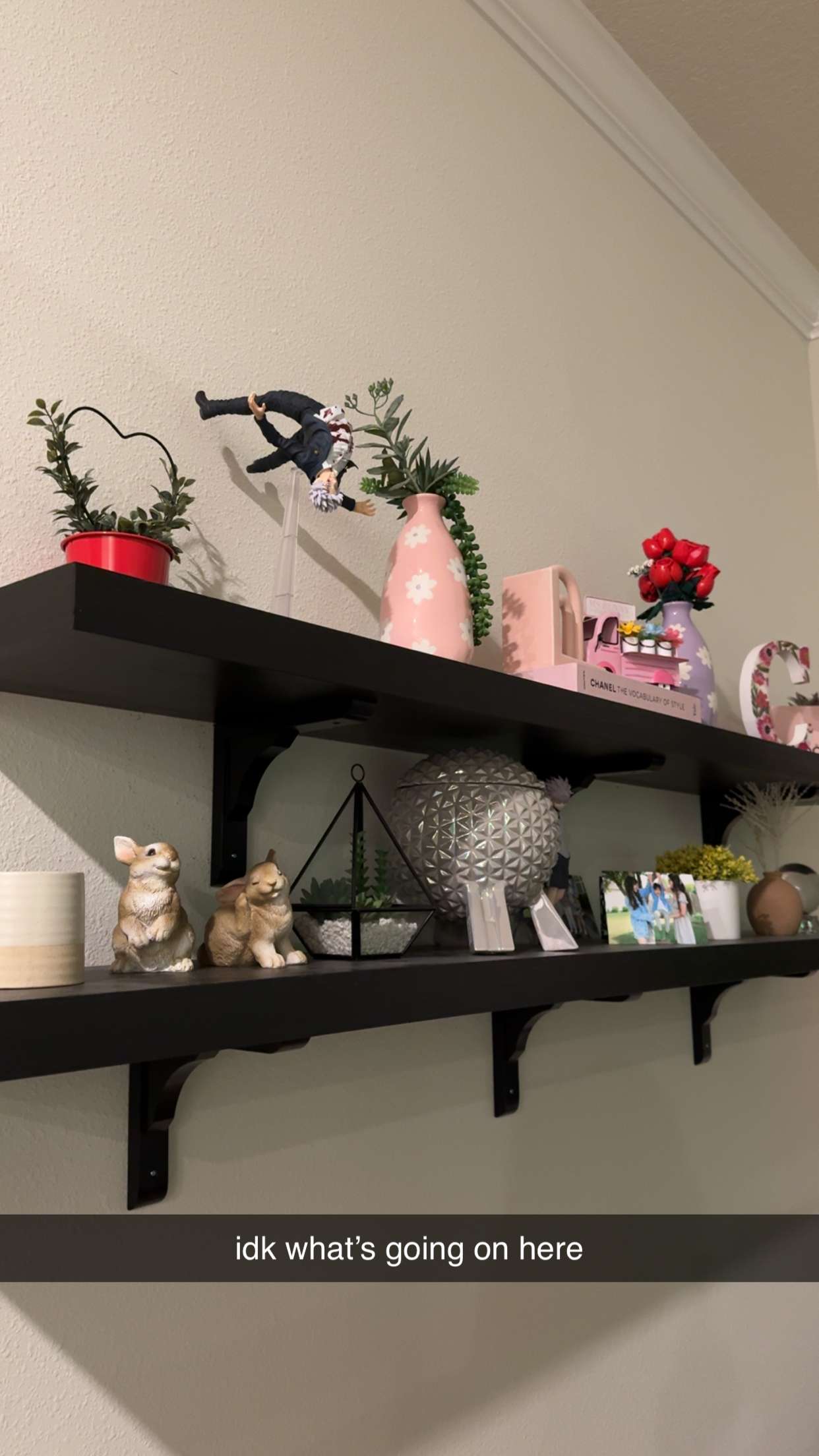 xcatlyn snapchat image archive image