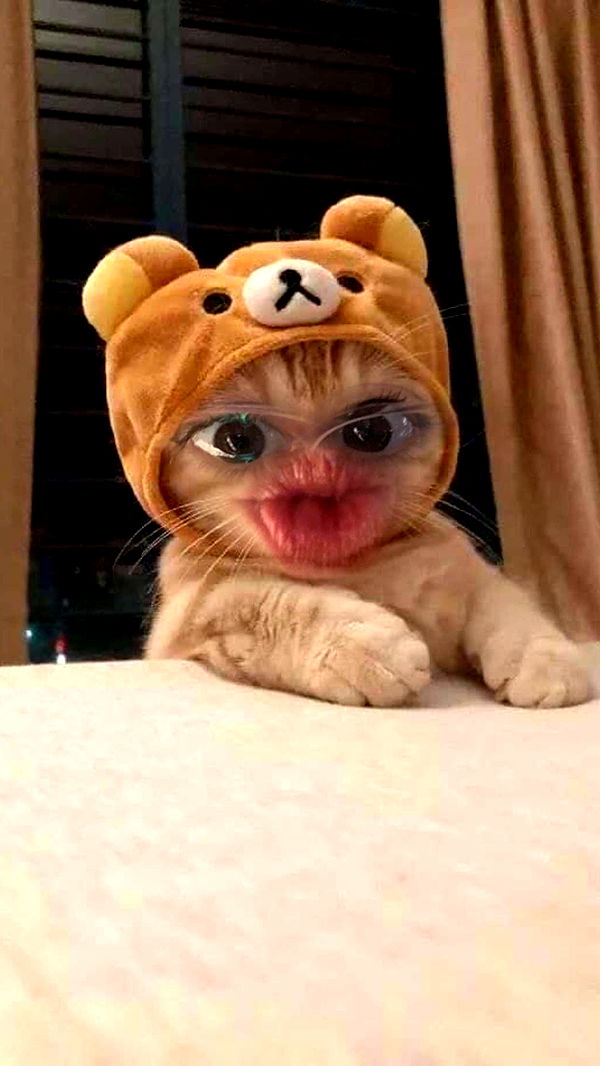 xcatlyn image ~ Altpins