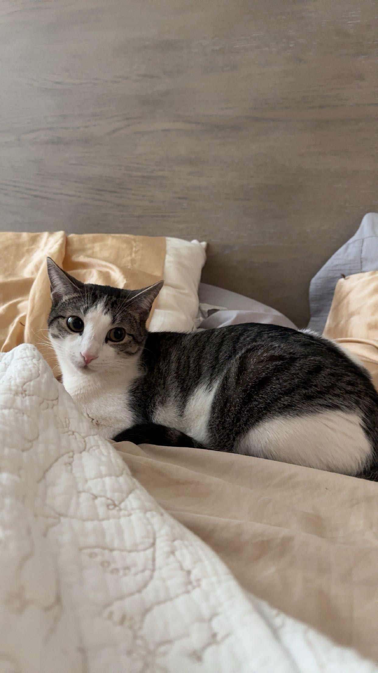 xcatlyn snapchat image archive image