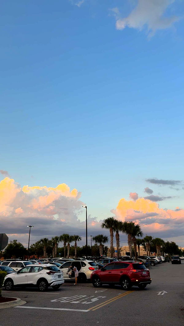 xcatlyn image ~ Altpins