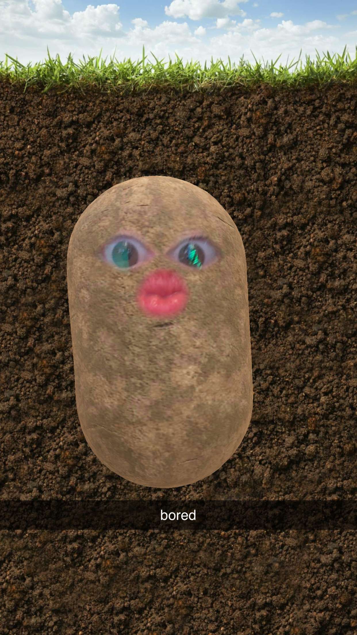 xcatlyn snapchat image archive image