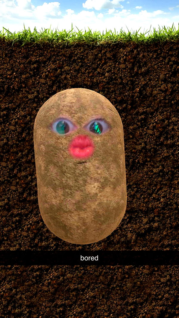 xcatlyn image ~ Altpins