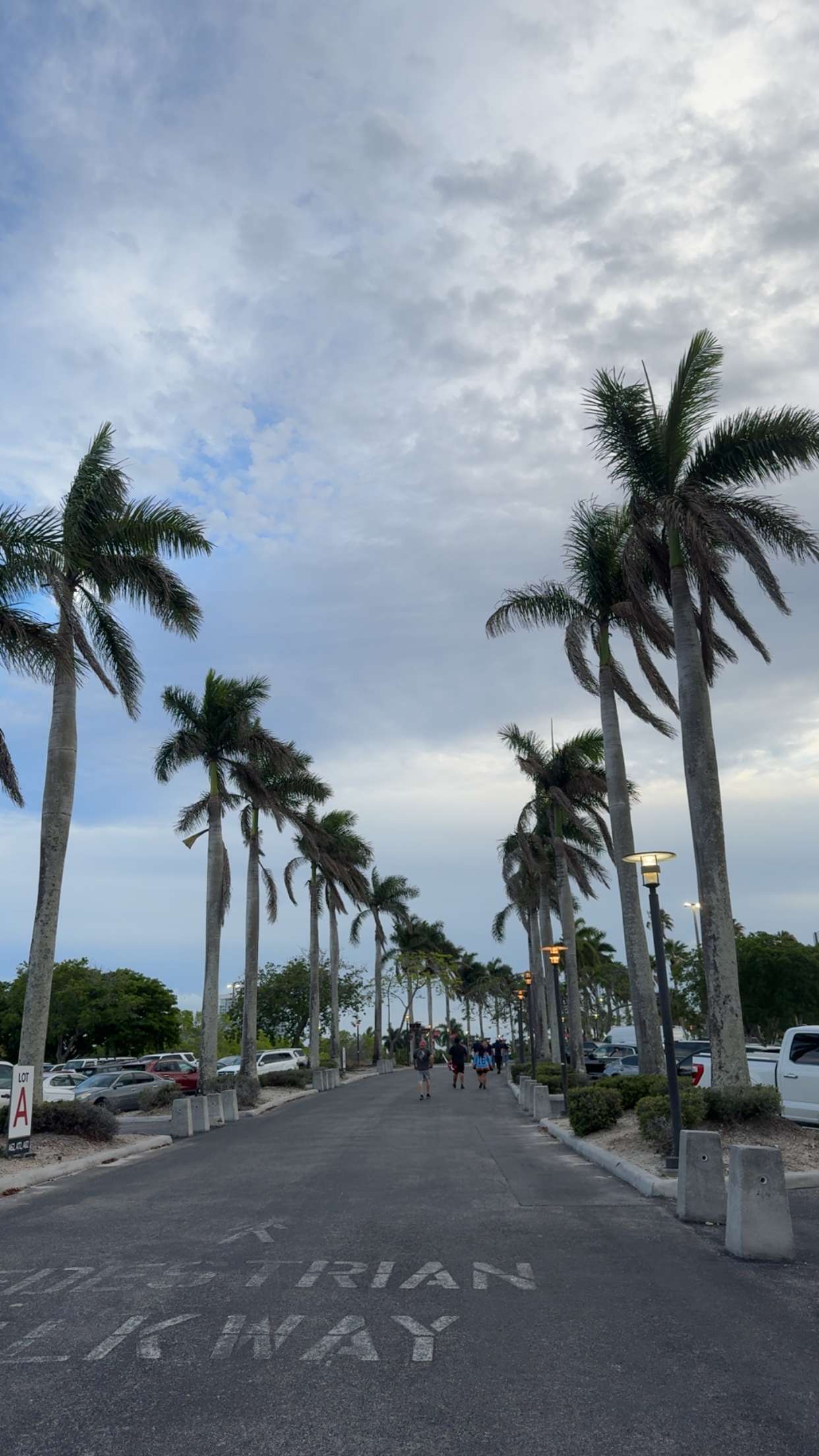 xcatlyn snapchat image archive image