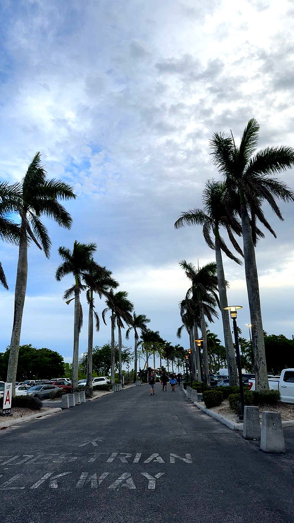 xcatlyn image ~ Altpins