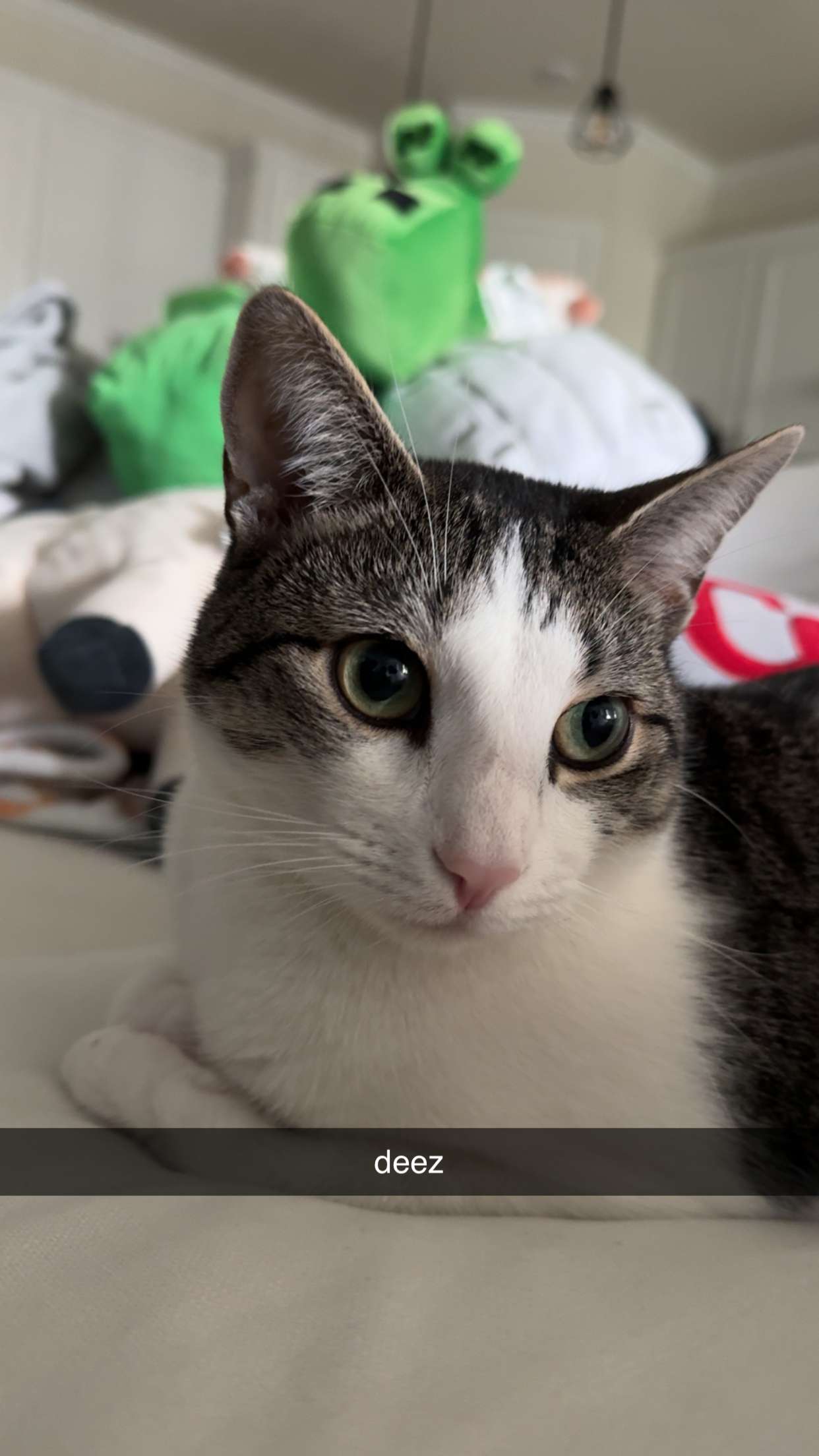 xcatlyn snapchat image archive image