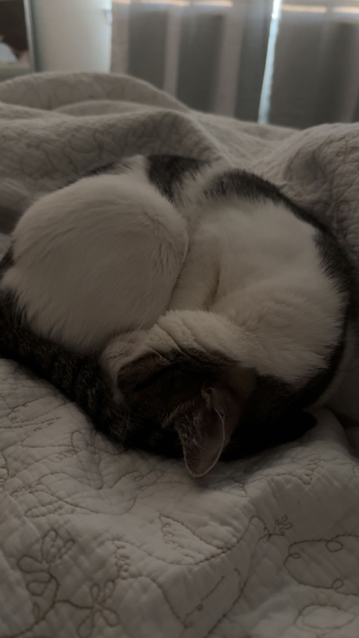 xcatlyn snapchat image archive image