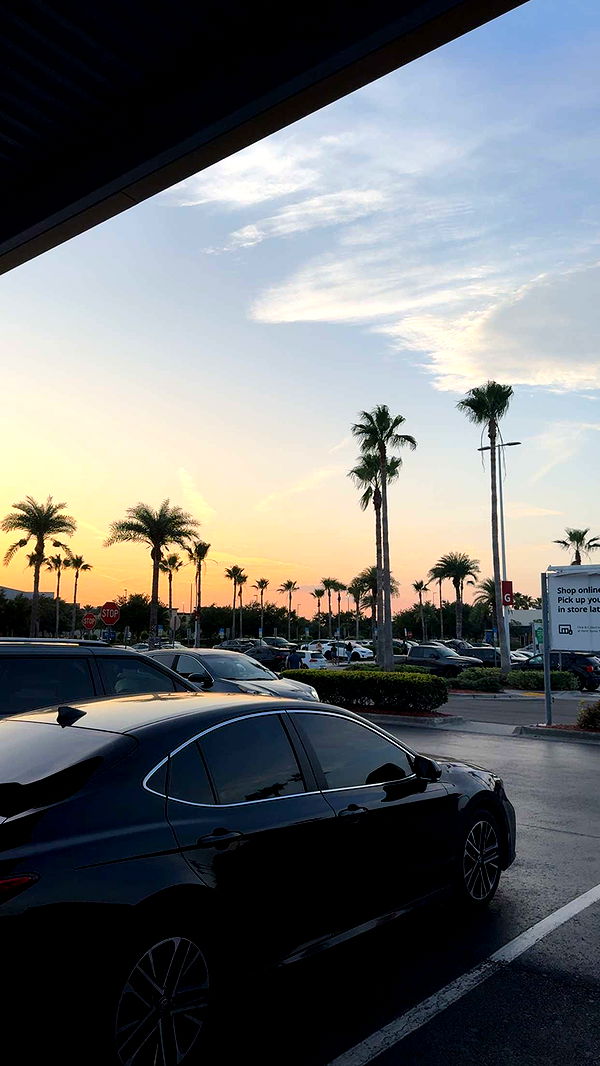 xcatlyn image ~ Altpins