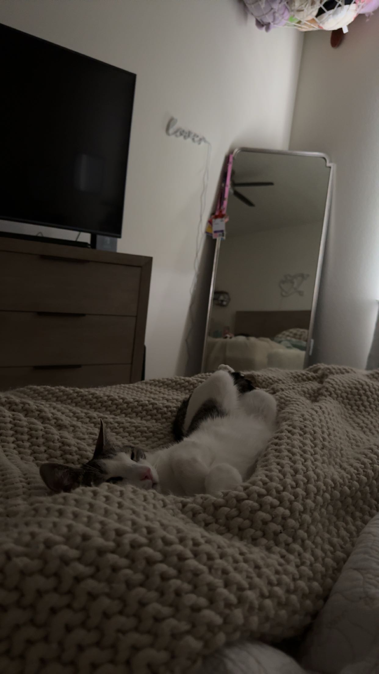 xcatlyn snapchat image archive image