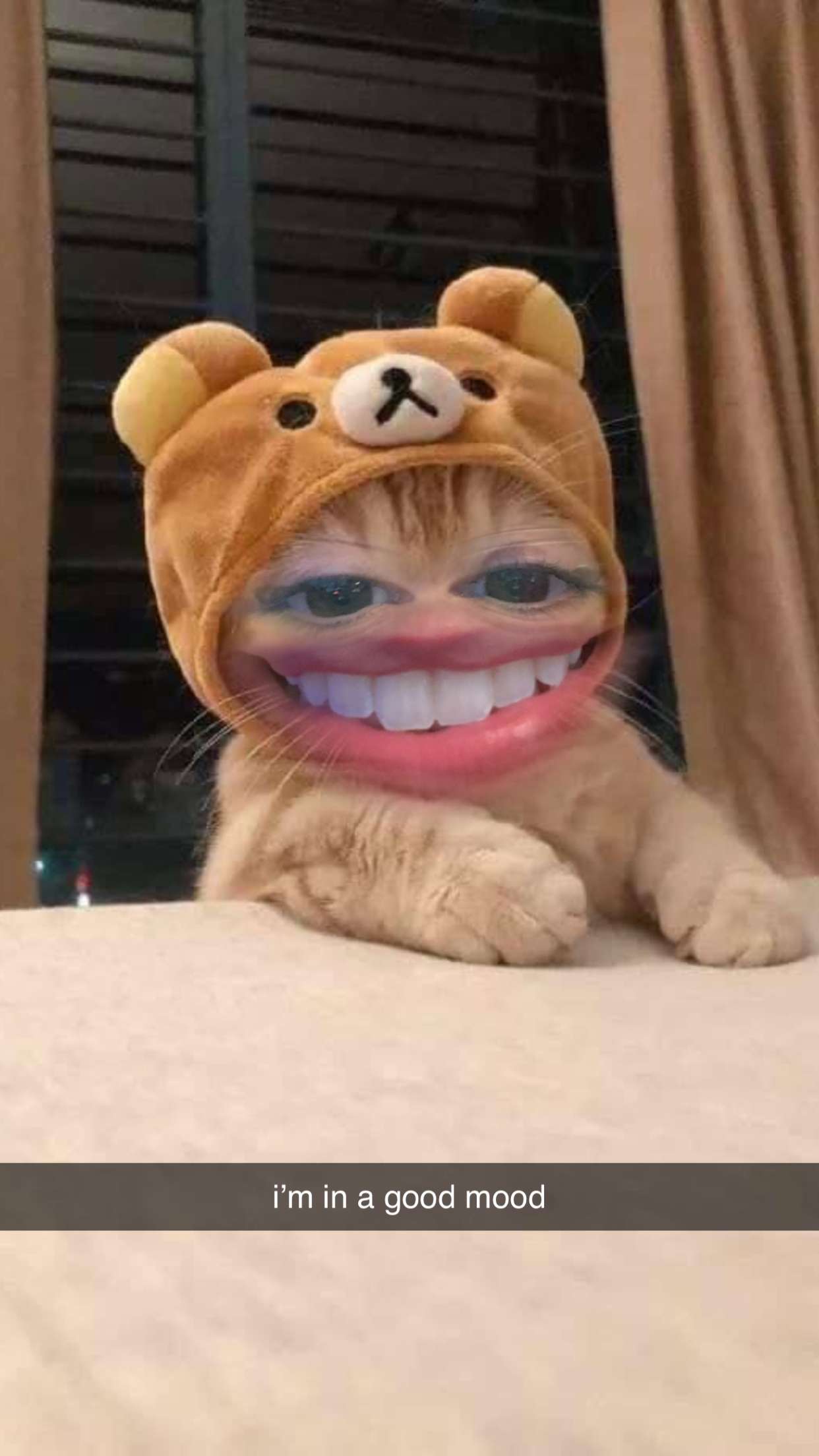 xcatlyn snapchat image archive image