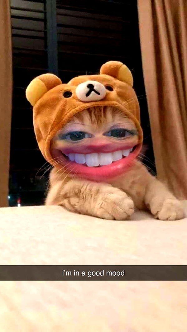 xcatlyn image ~ Altpins