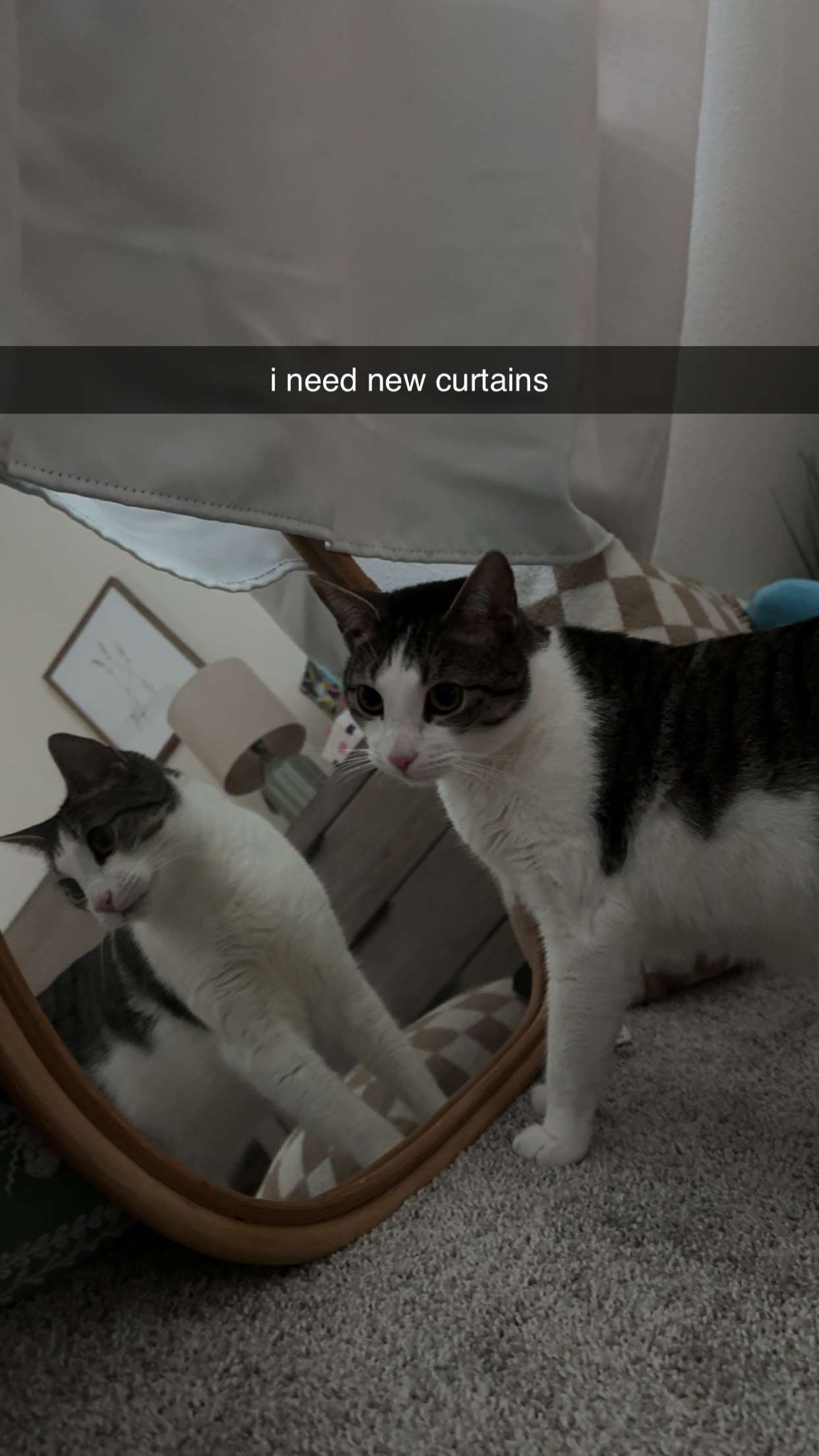 xcatlyn snapchat image archive image