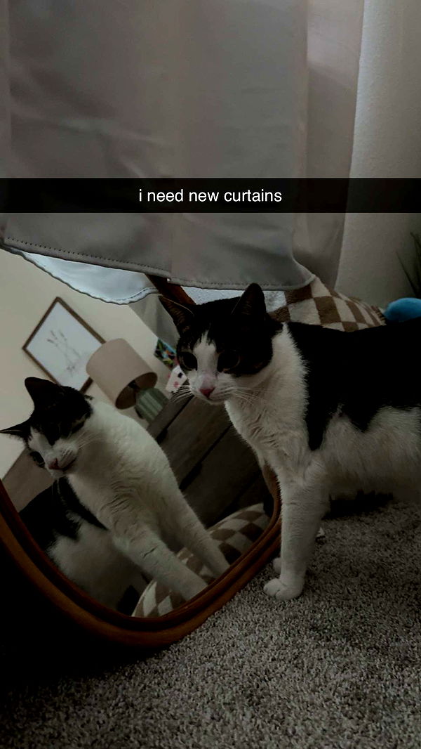 xcatlyn image ~ Altpins