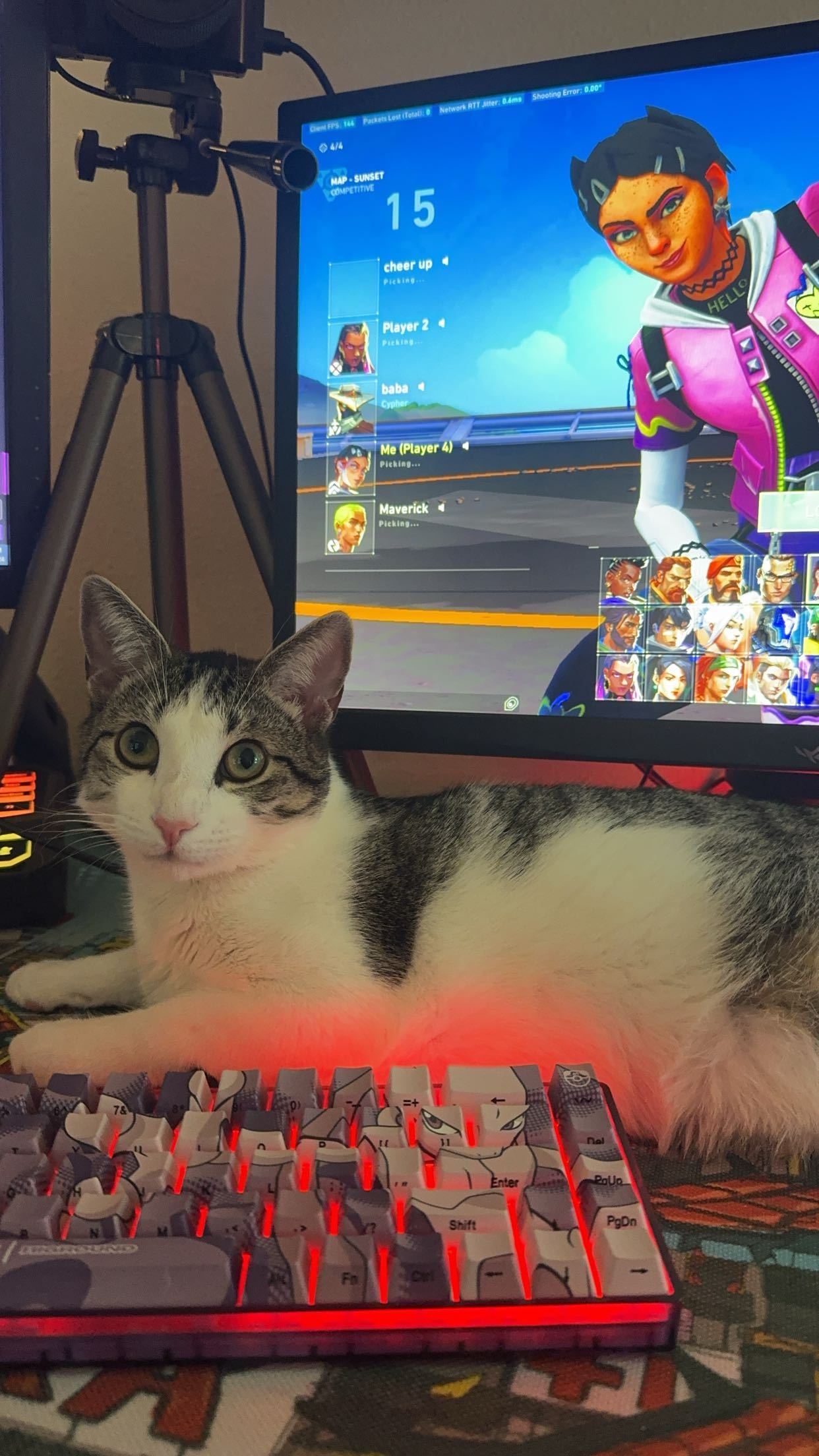 xcatlyn snapchat image archive image