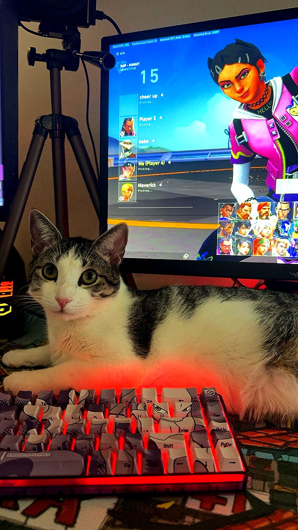 xcatlyn image ~ Altpins