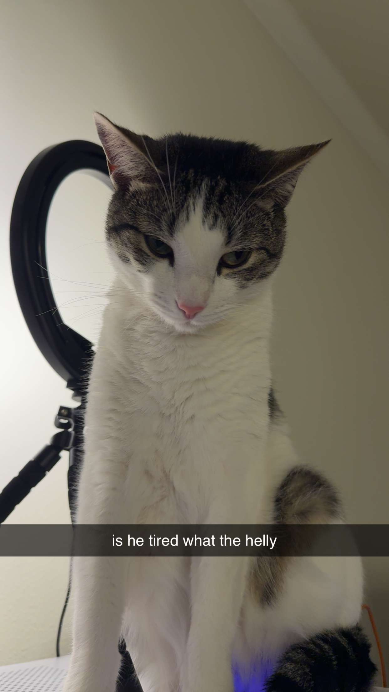 xcatlyn snapchat image archive image