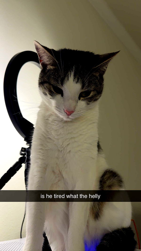 xcatlyn image ~ Altpins