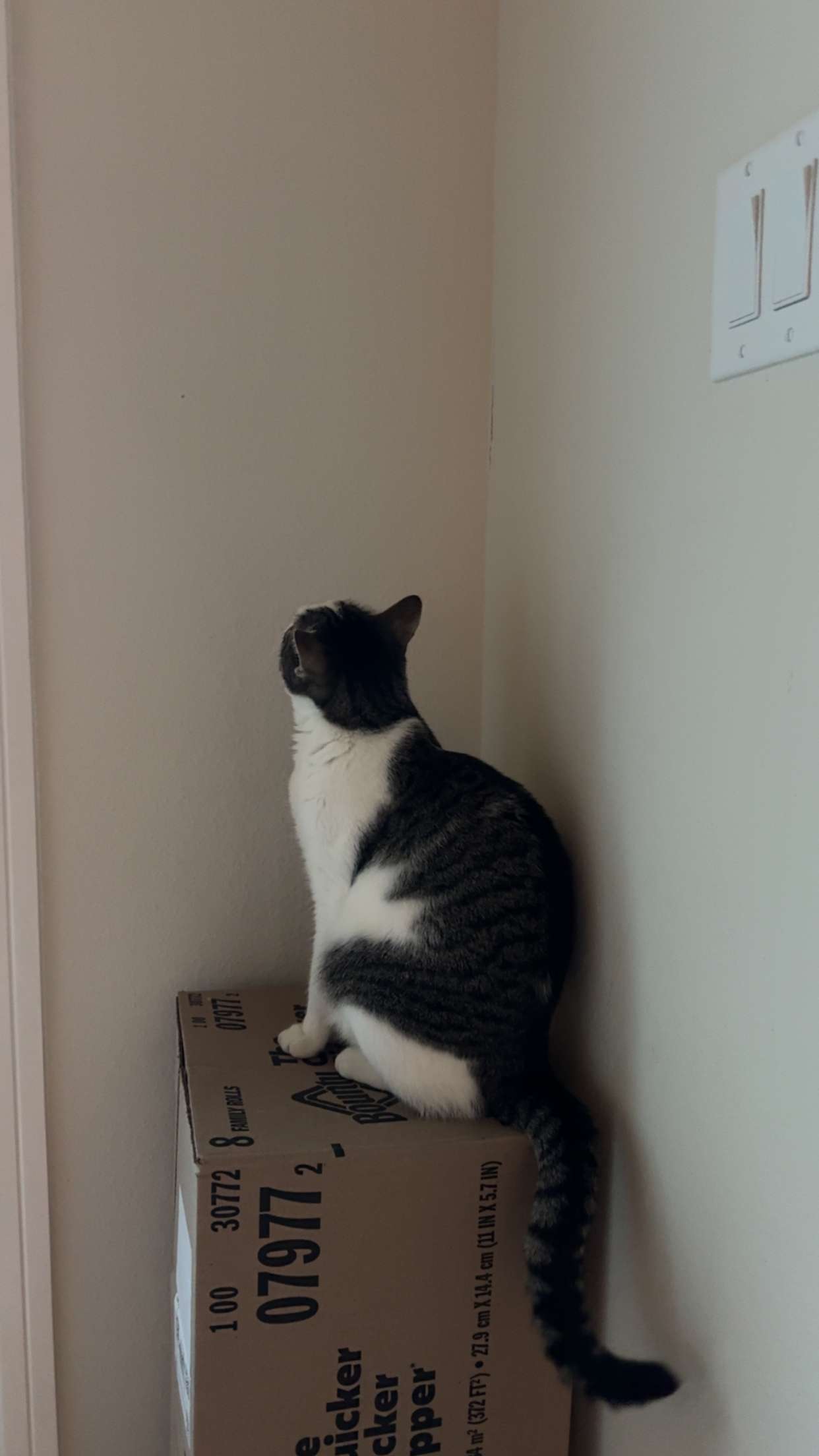 xcatlyn snapchat image archive image