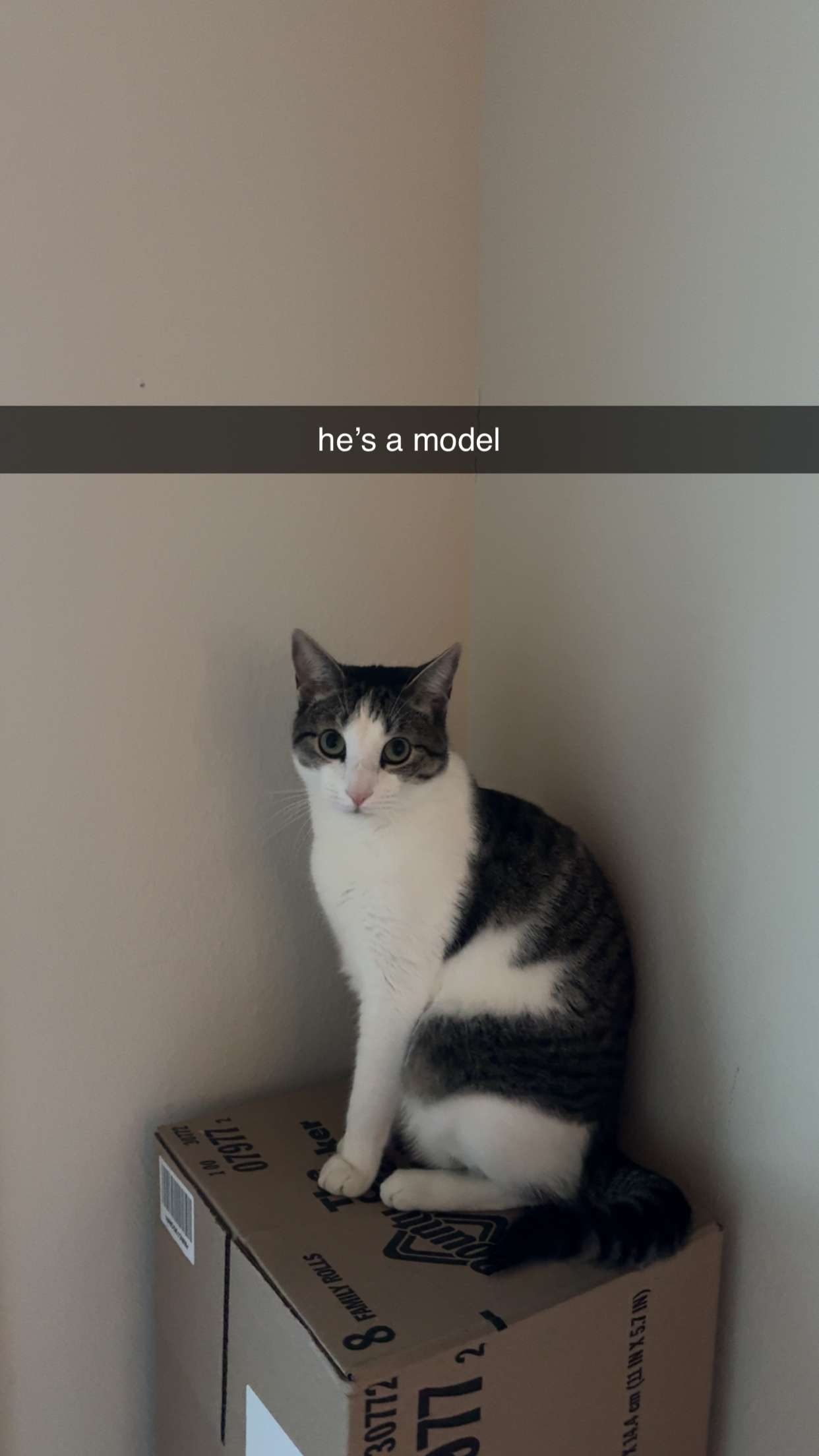 xcatlyn snapchat image archive image