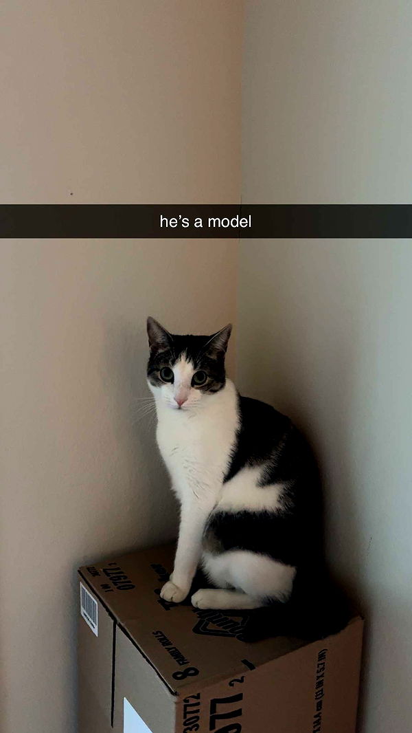 xcatlyn image ~ Altpins