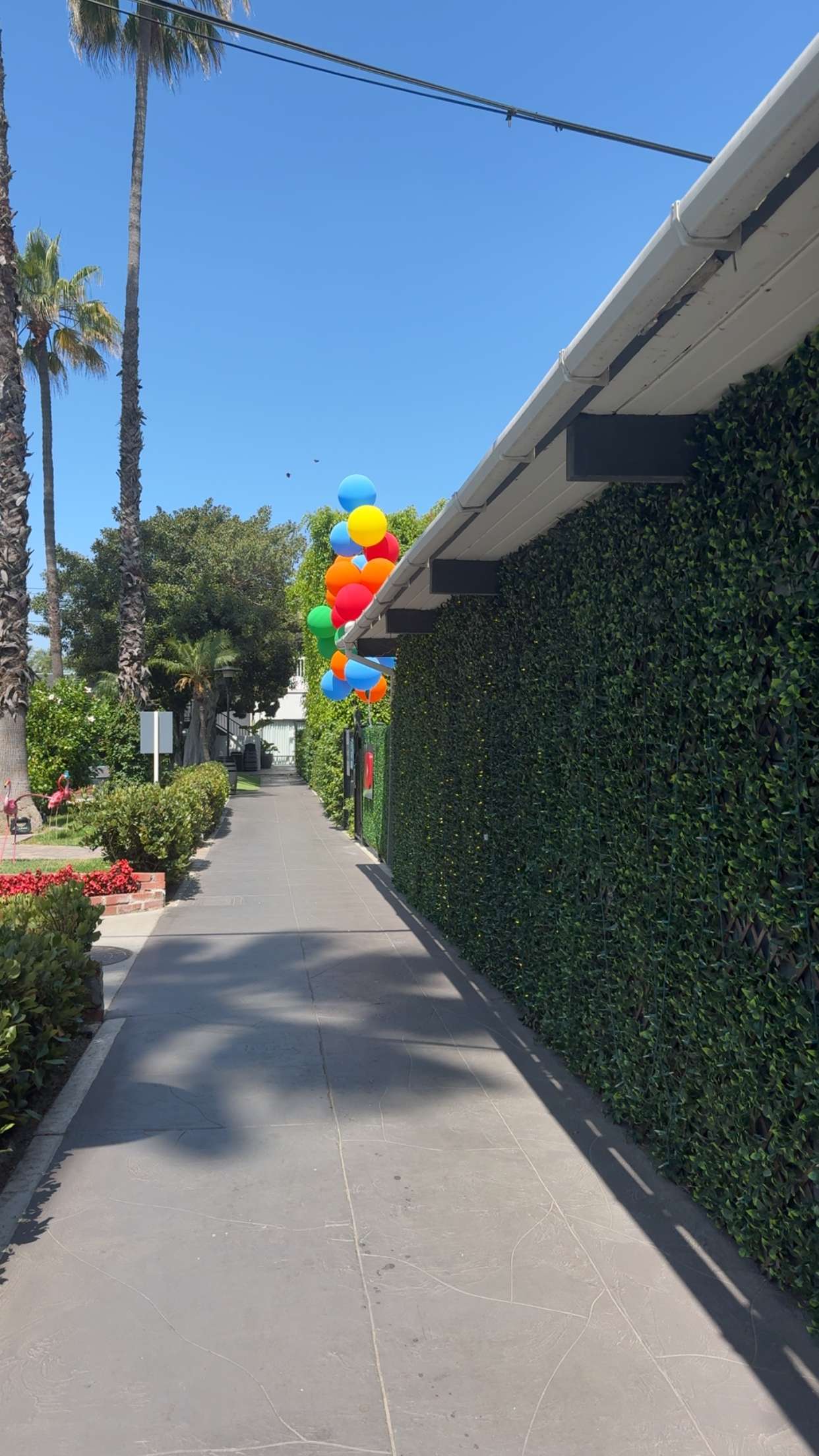 xcatlyn snapchat image archive image