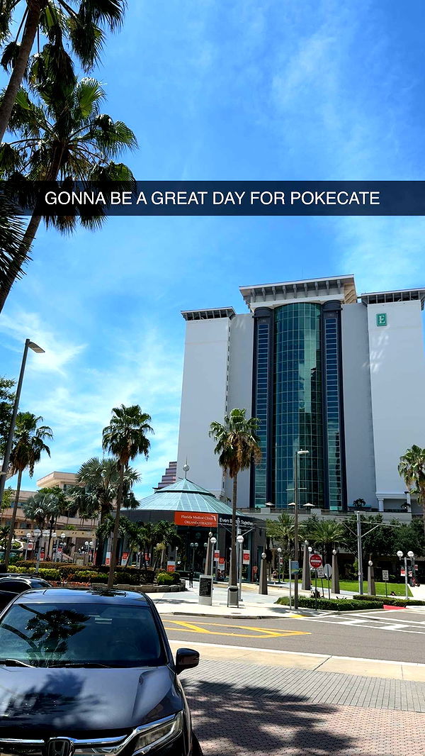 xcatlyn image ~ Altpins