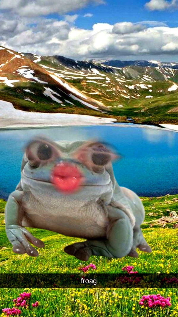 xcatlyn image ~ Altpins