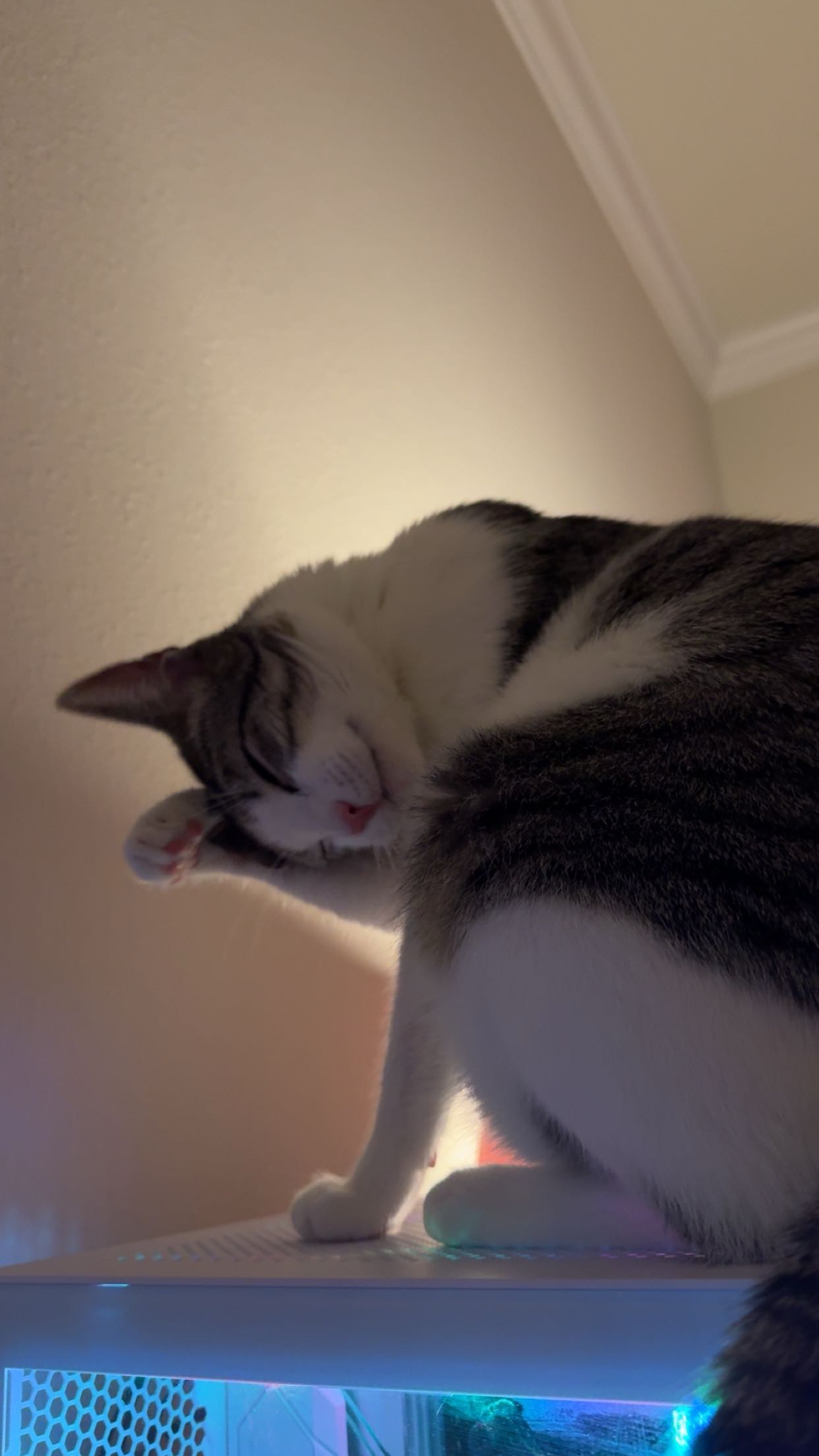 xcatlyn snapchat image archive image