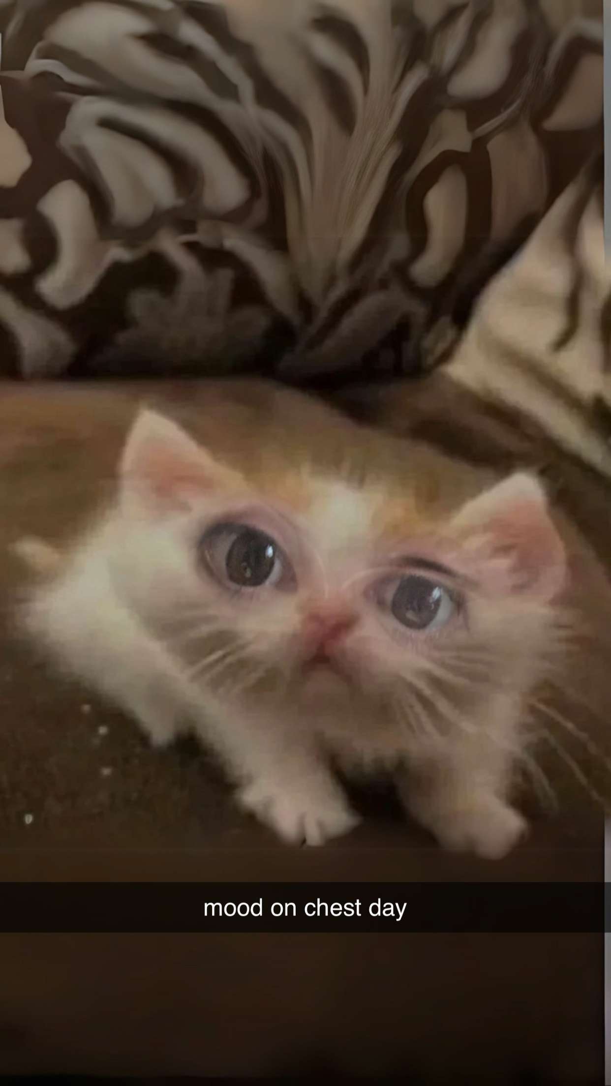 xcatlyn snapchat image archive image