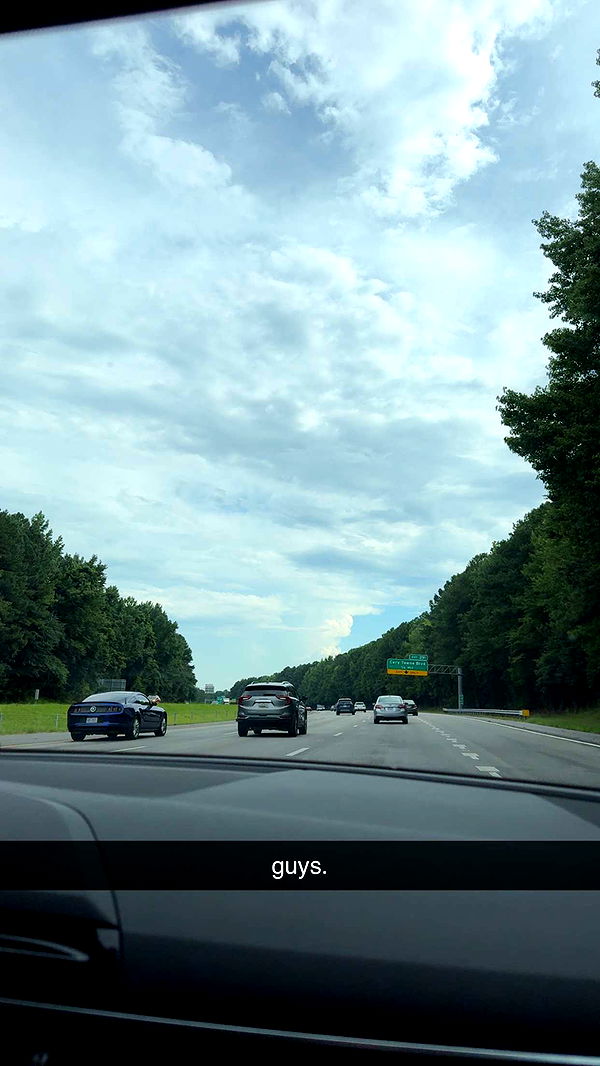 xcatlyn image ~ Altpins