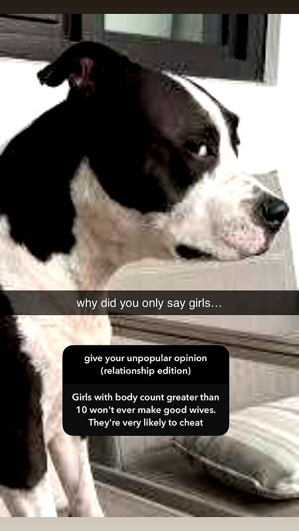 xcatlyn image ~ Altpins