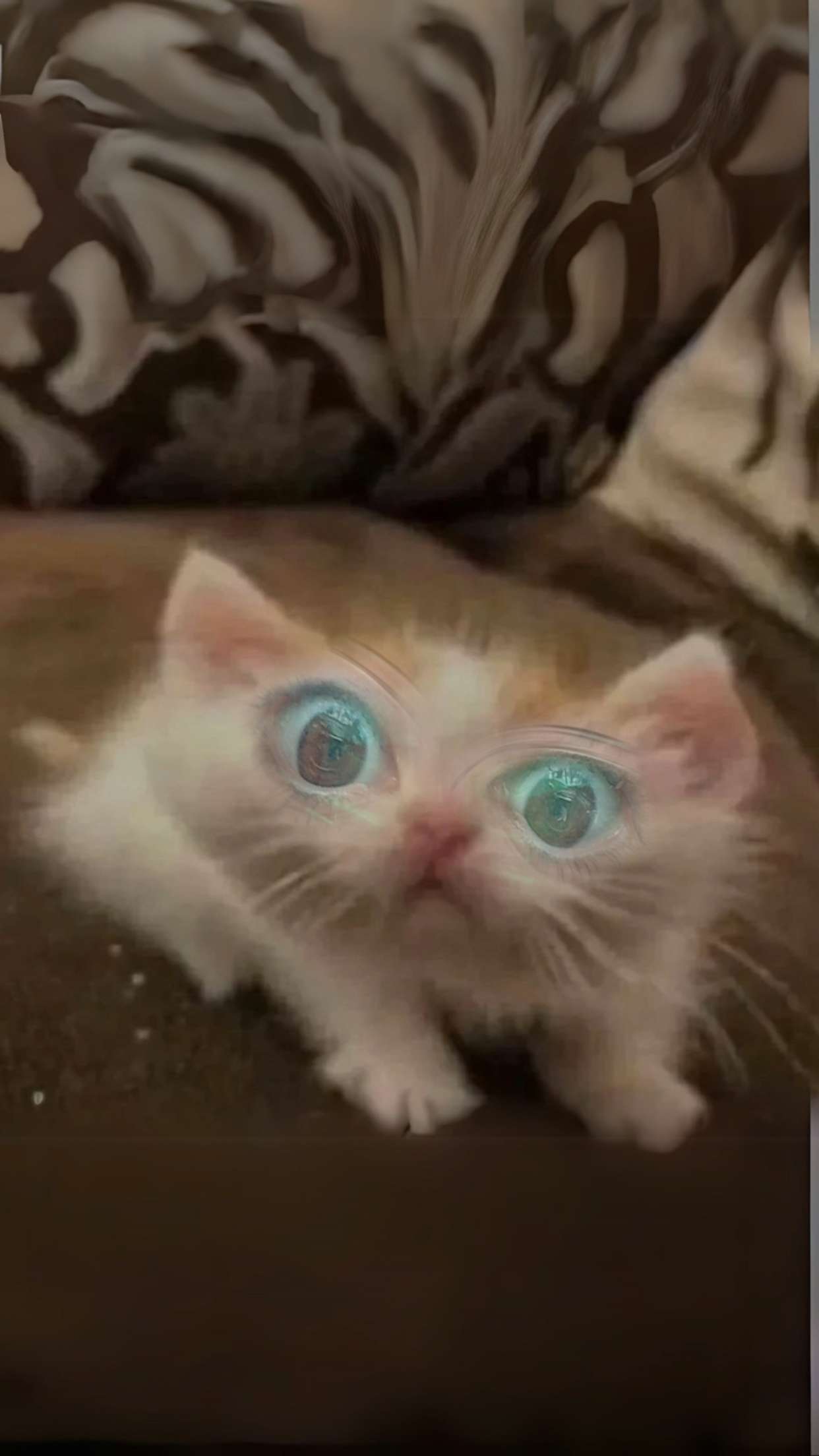 xcatlyn snapchat image archive image