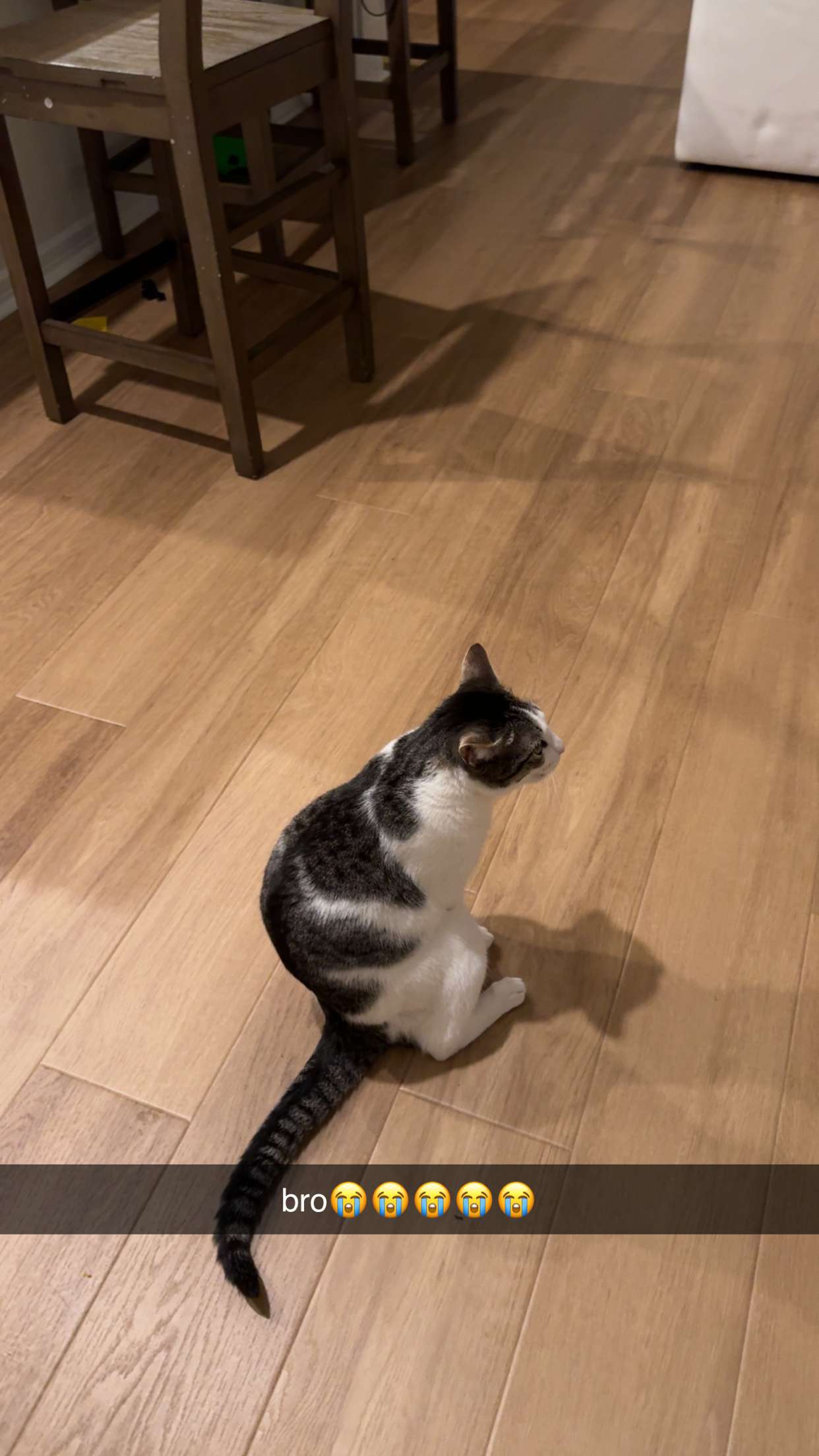 xcatlyn snapchat image archive image