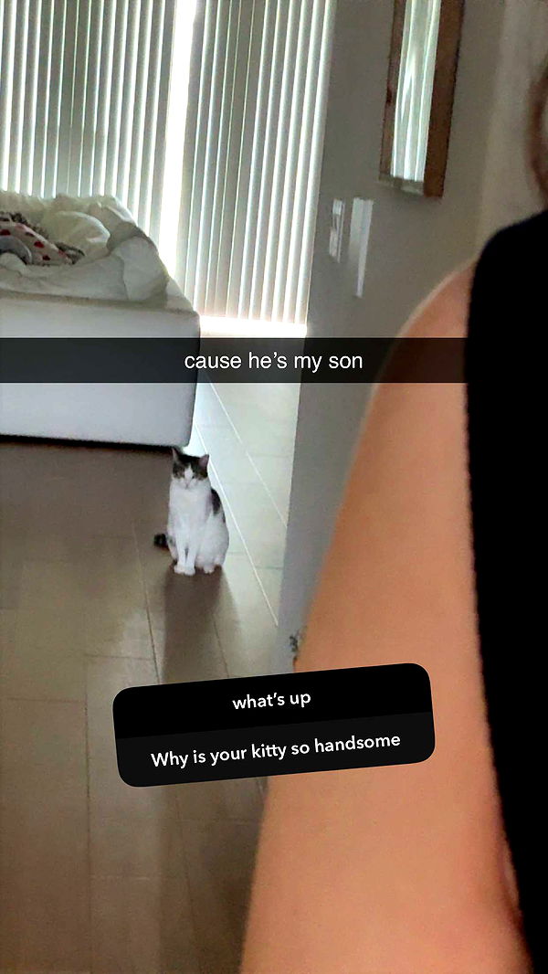 xcatlyn image ~ Altpins