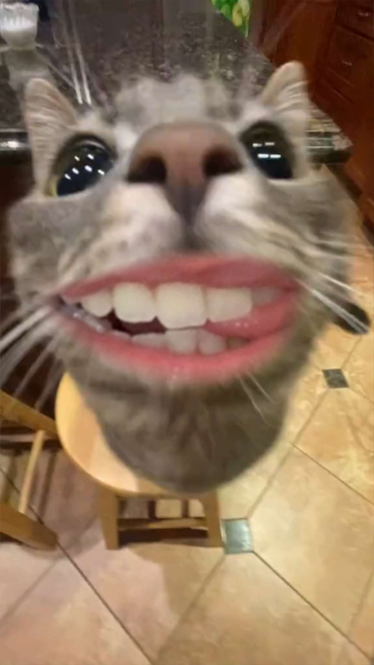 xcatlyn snapchat image archive image