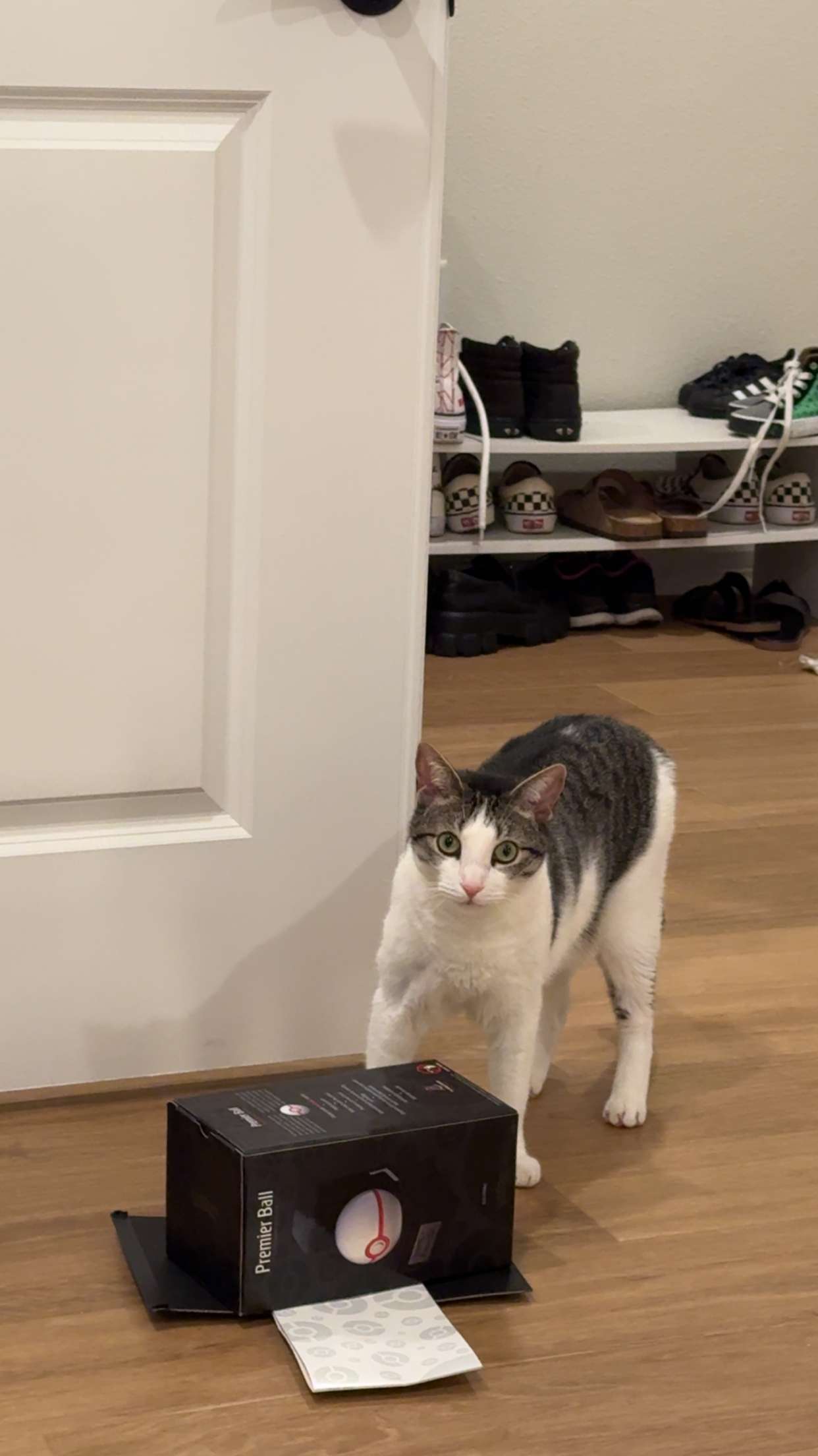 xcatlyn snapchat image archive image