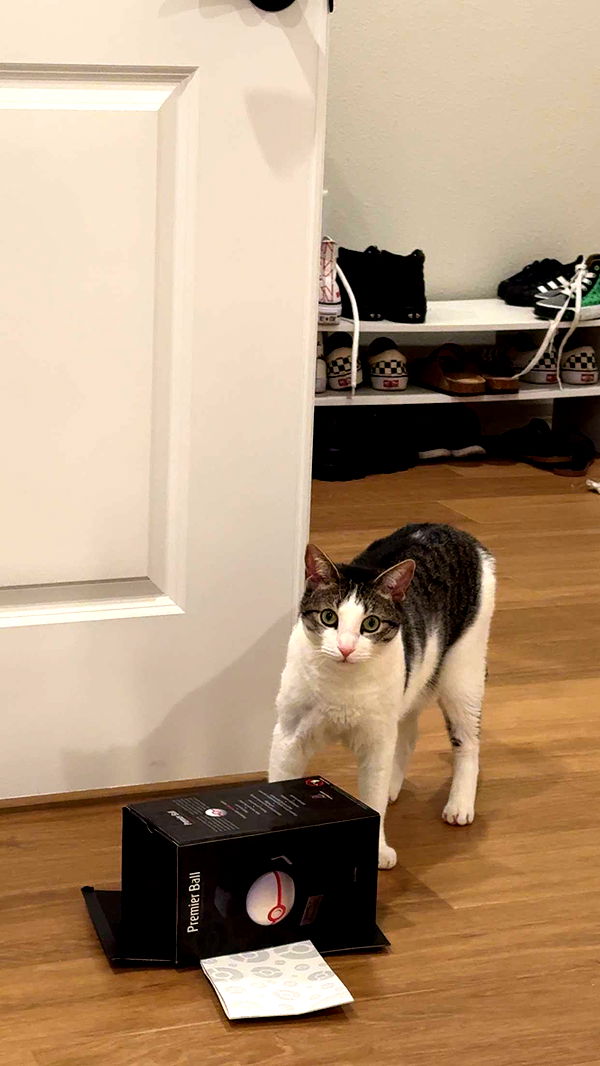 xcatlyn image ~ Altpins