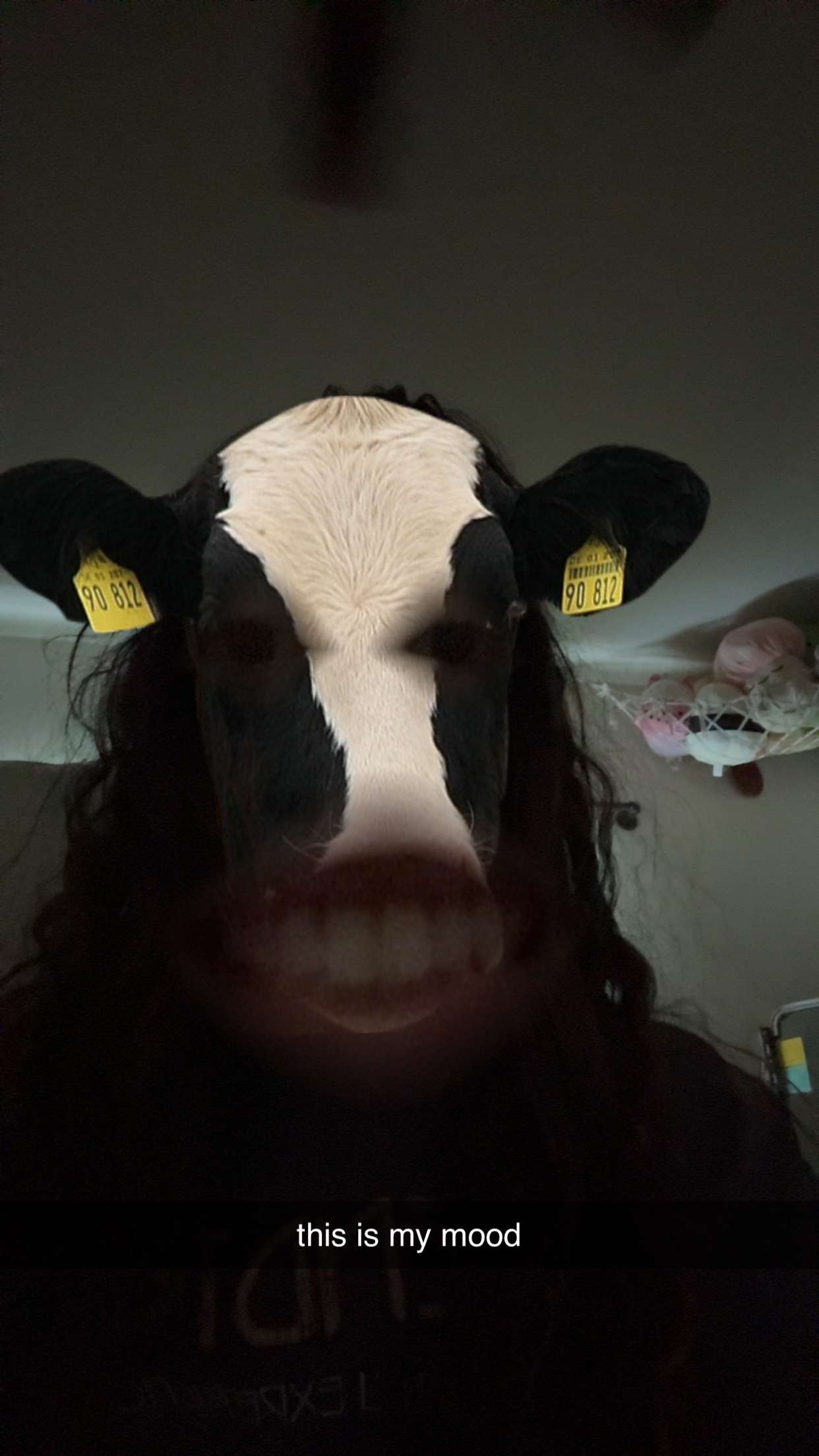 xcatlyn snapchat image archive image