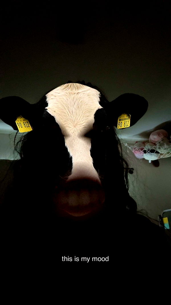 xcatlyn image ~ Altpins