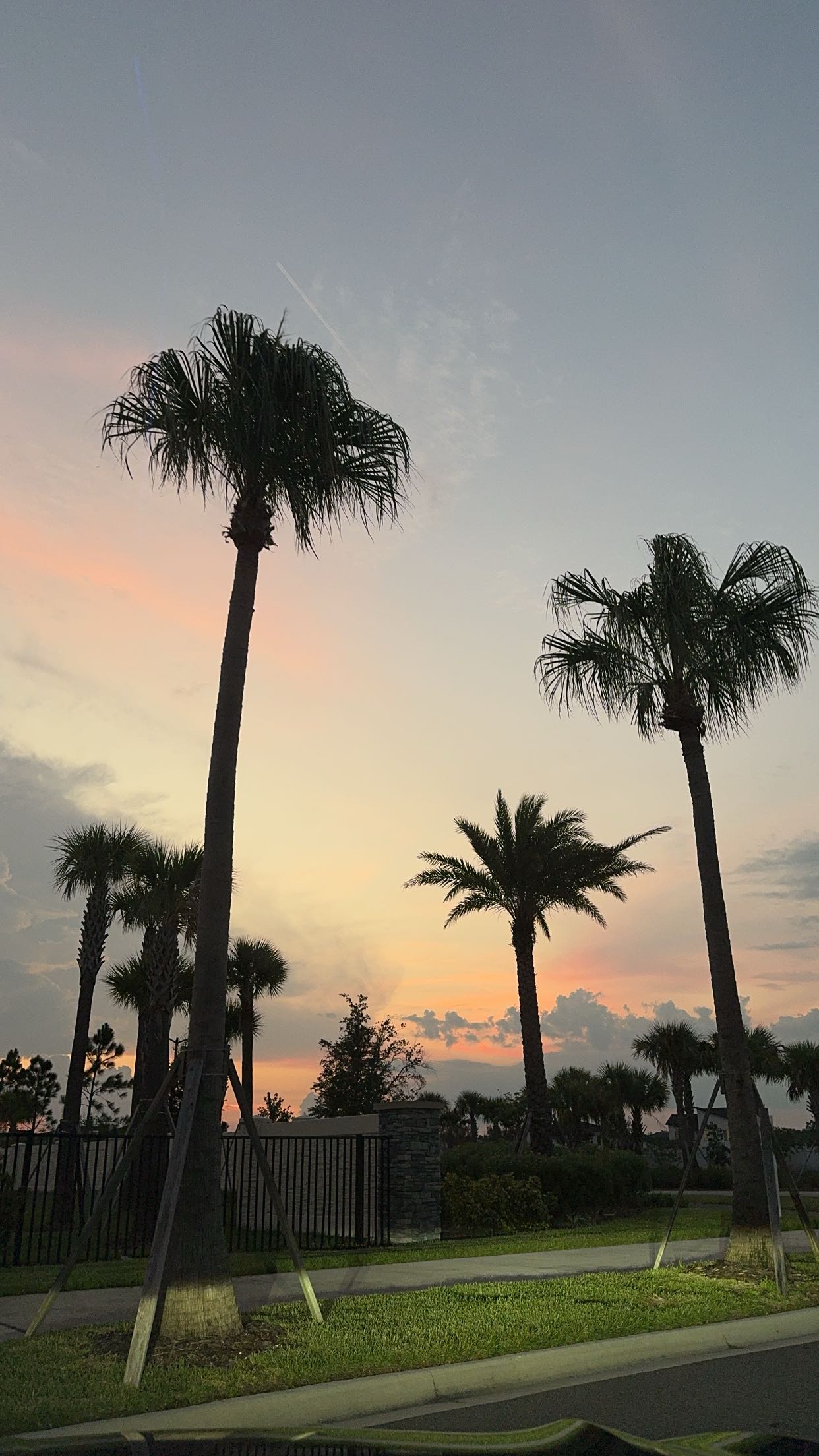 xcatlyn snapchat image archive image